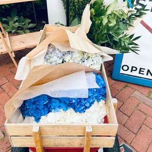 Meet your Posher, Elena